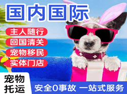 黄山屯溪航空货运国际宠物托运 【国